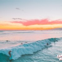 Surfing Lessons