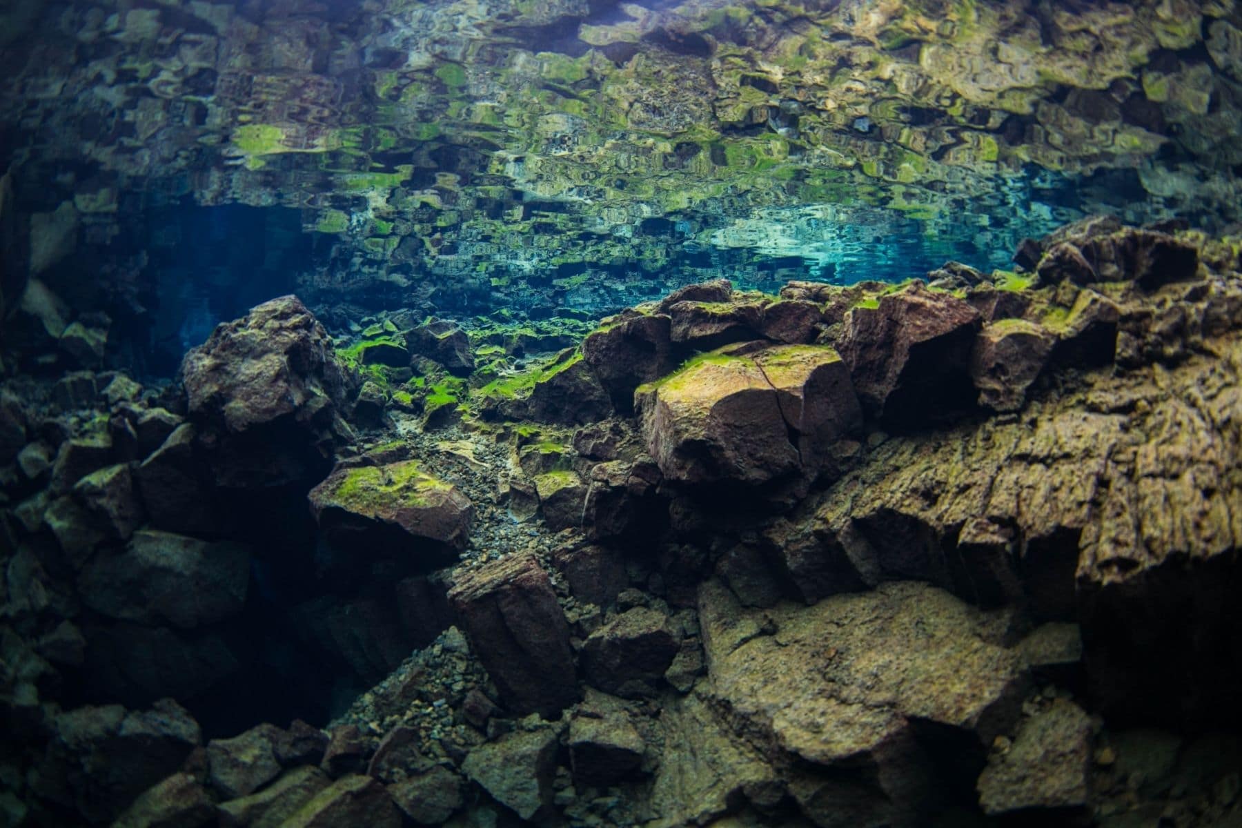 Þingvallavatn