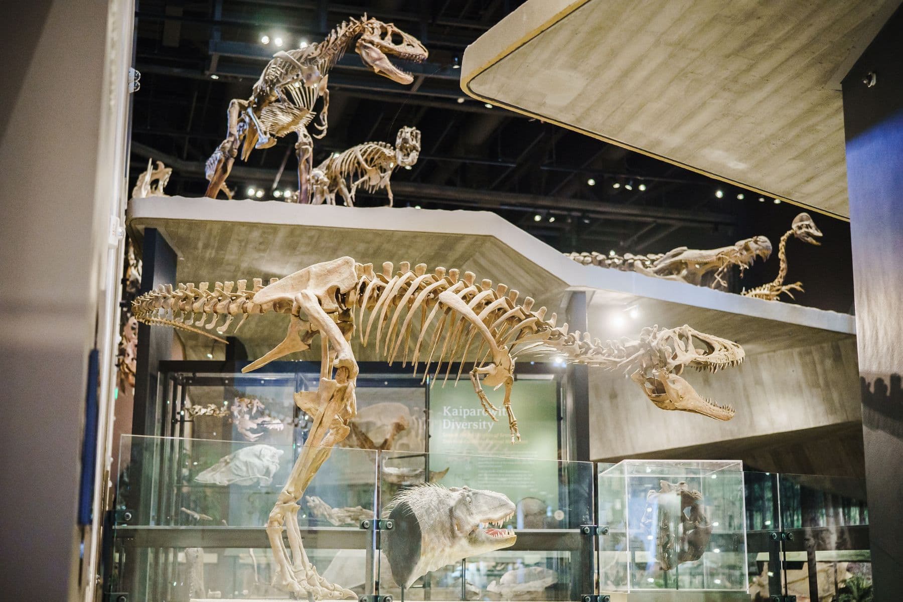 Natural History Museum Of Utah Featured