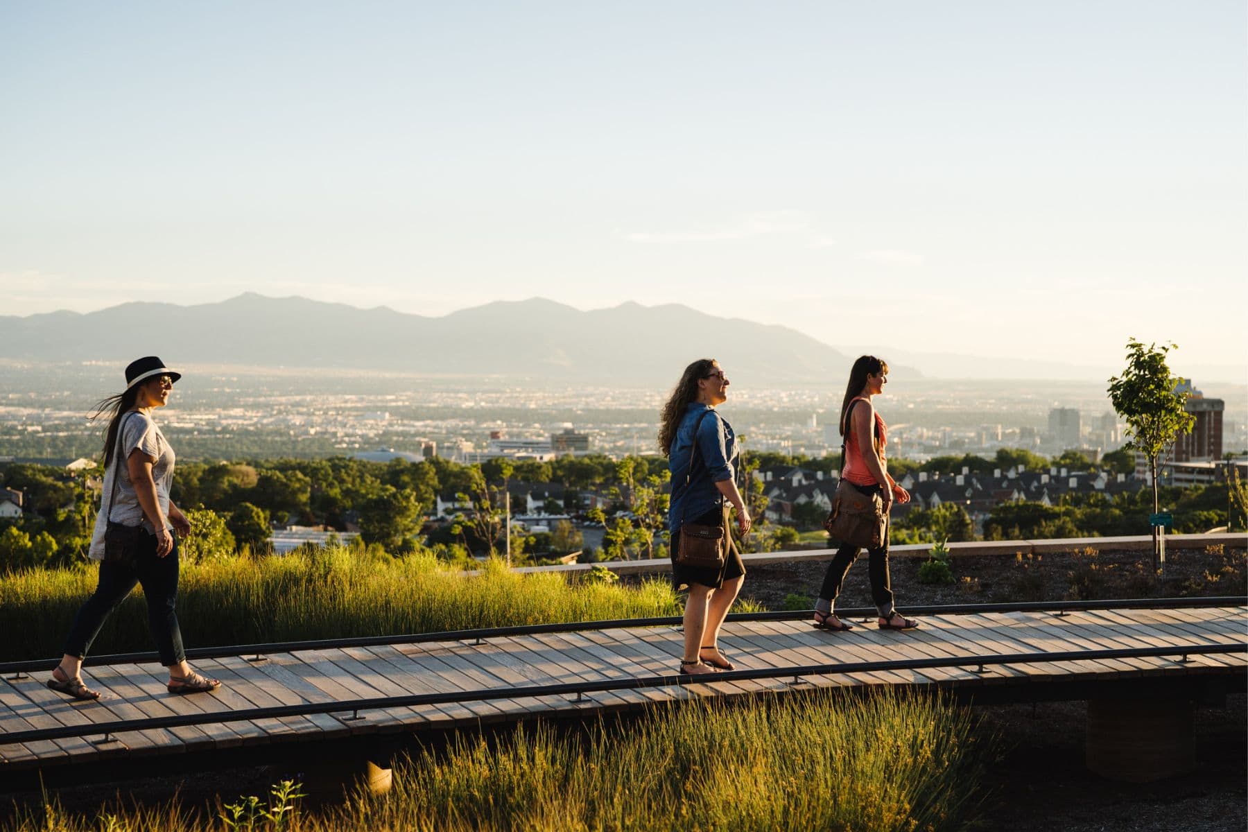 Red Butte Garden Bridge