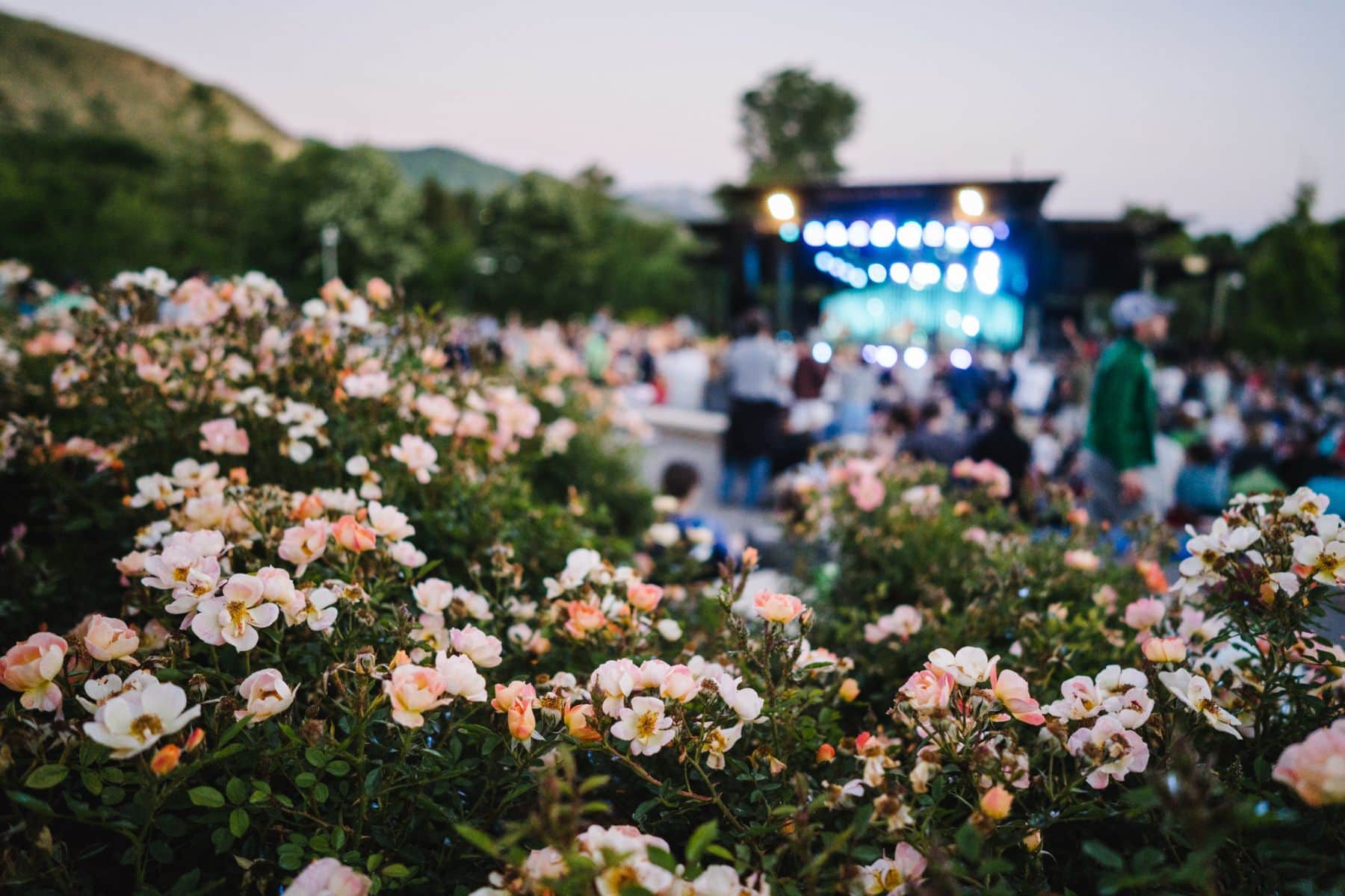 Red Butte Garden Garden