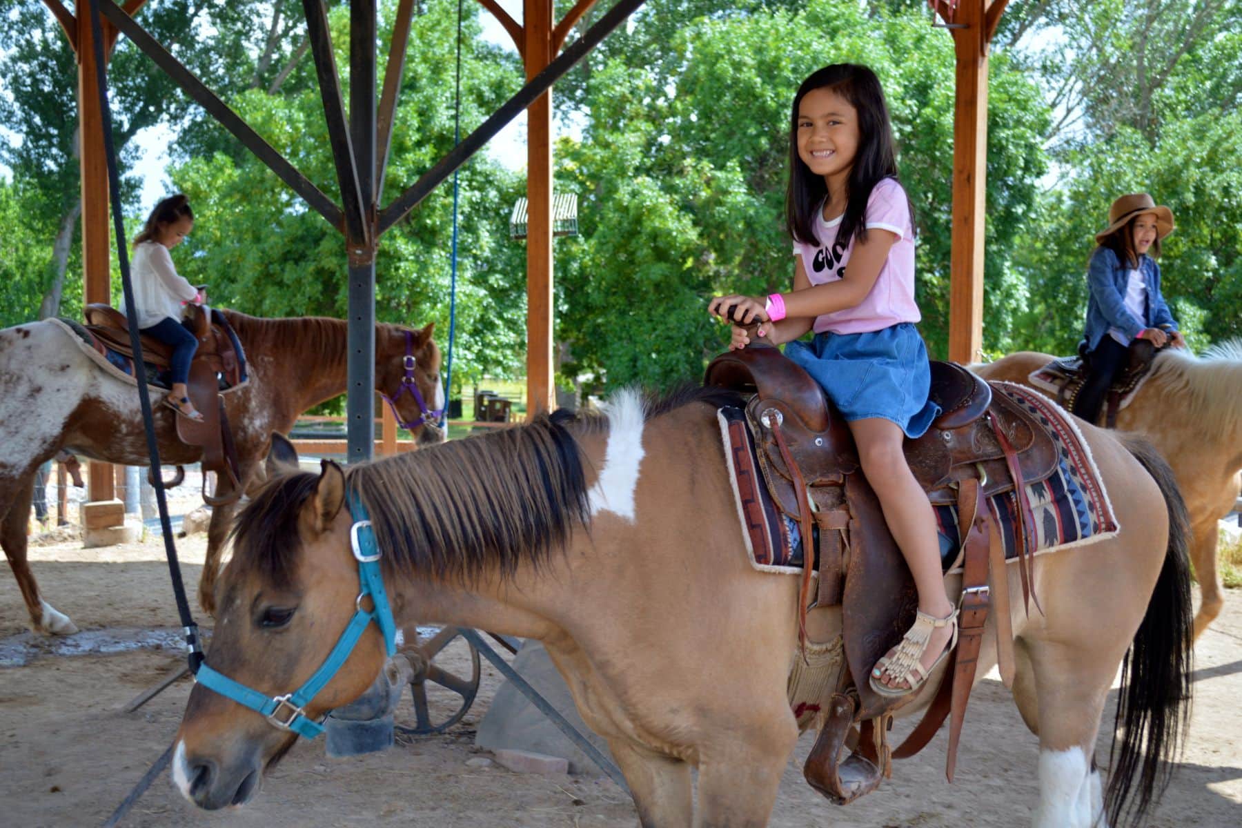 This Is The Place Heritage Park Horse