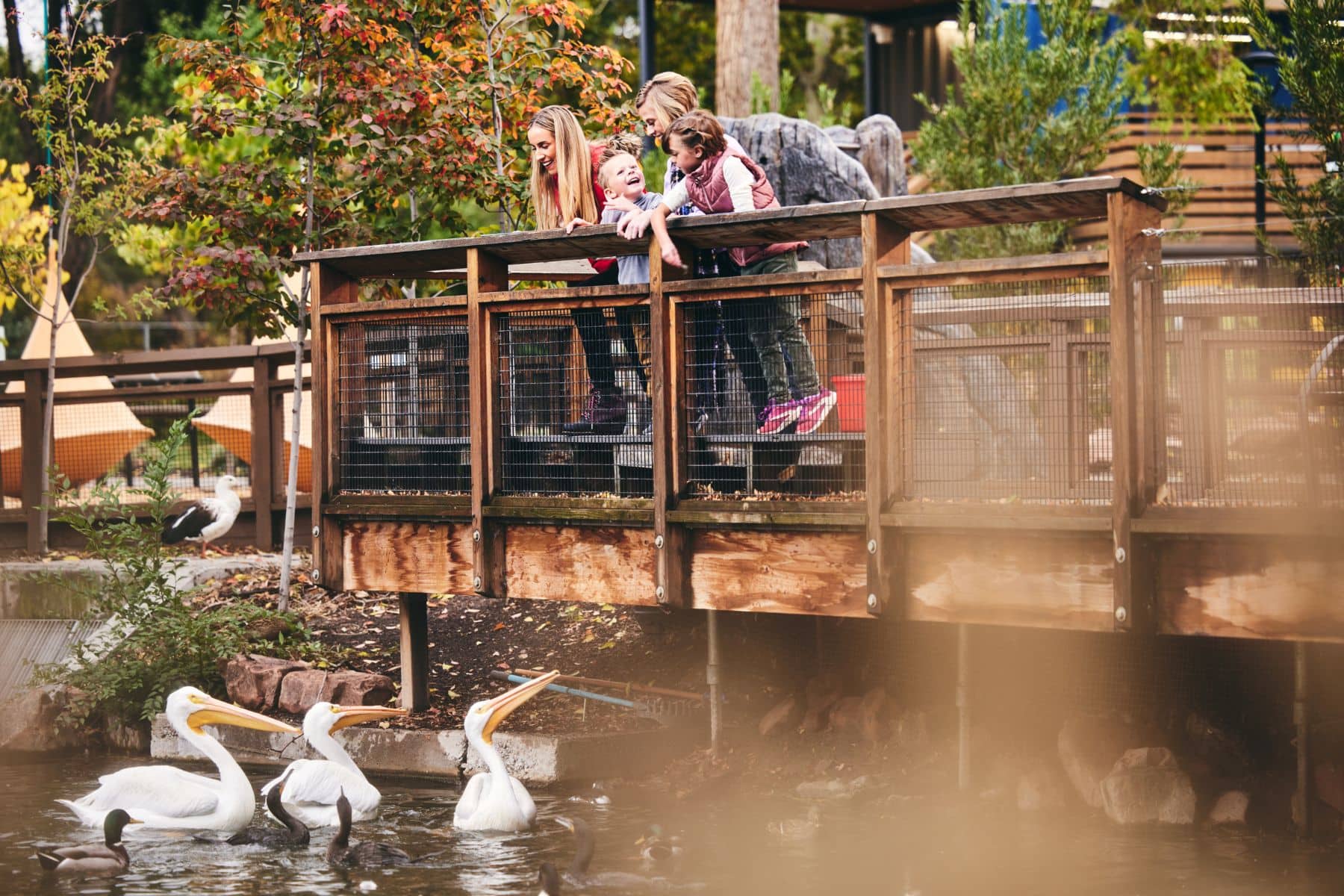 Tracy Aviary Bridge