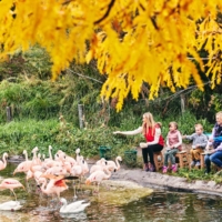 Tracy Aviary