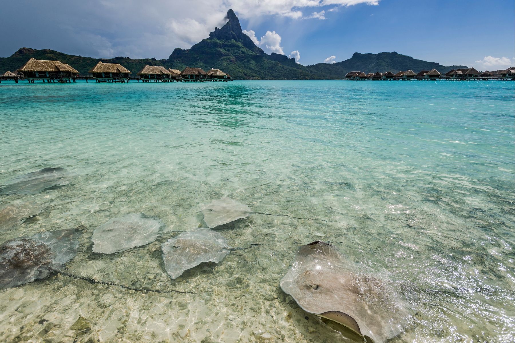 Activity At Intercontinental Bora Bora Resort