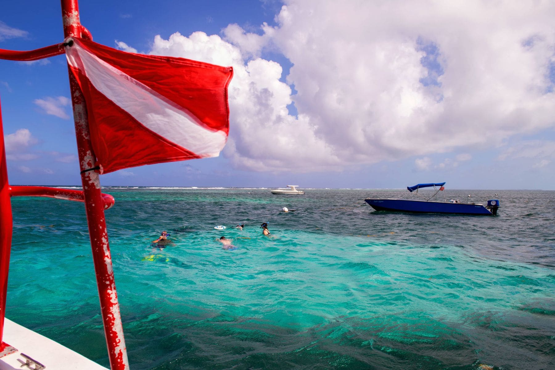 alaia-belize-an-autograph-collection-resort-snorkel