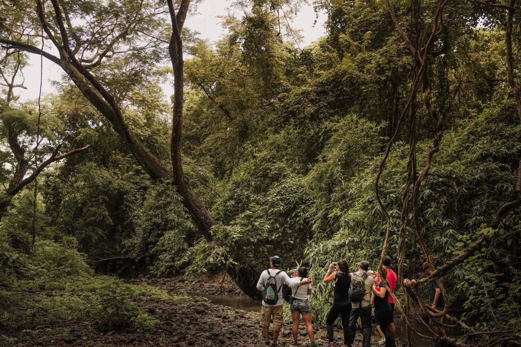 Andaz Costa Rica At Peninsula Papagayo Hiking