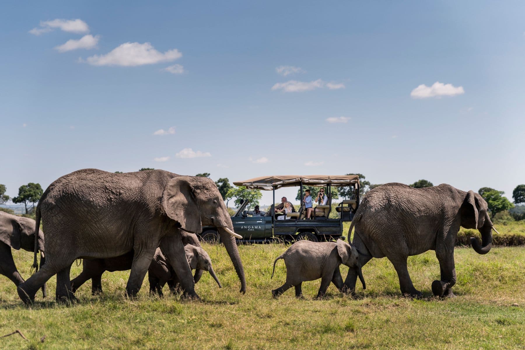 angama-mara-kenya-elephant