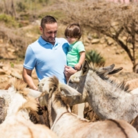 Donkey Sanctuary Visit