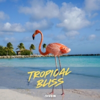 Aruba Quotes Captions