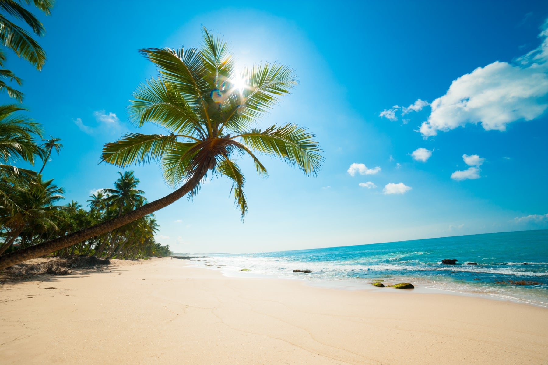 Aruba Visitors Guide Paradise Beach