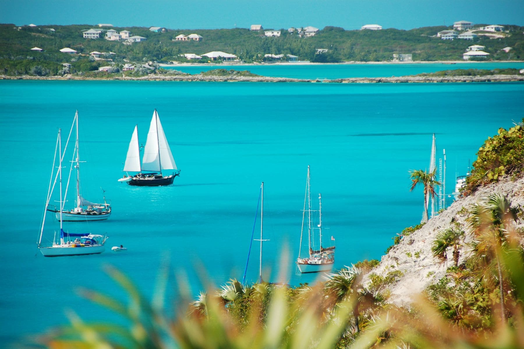 Bahamas Excursions Featured