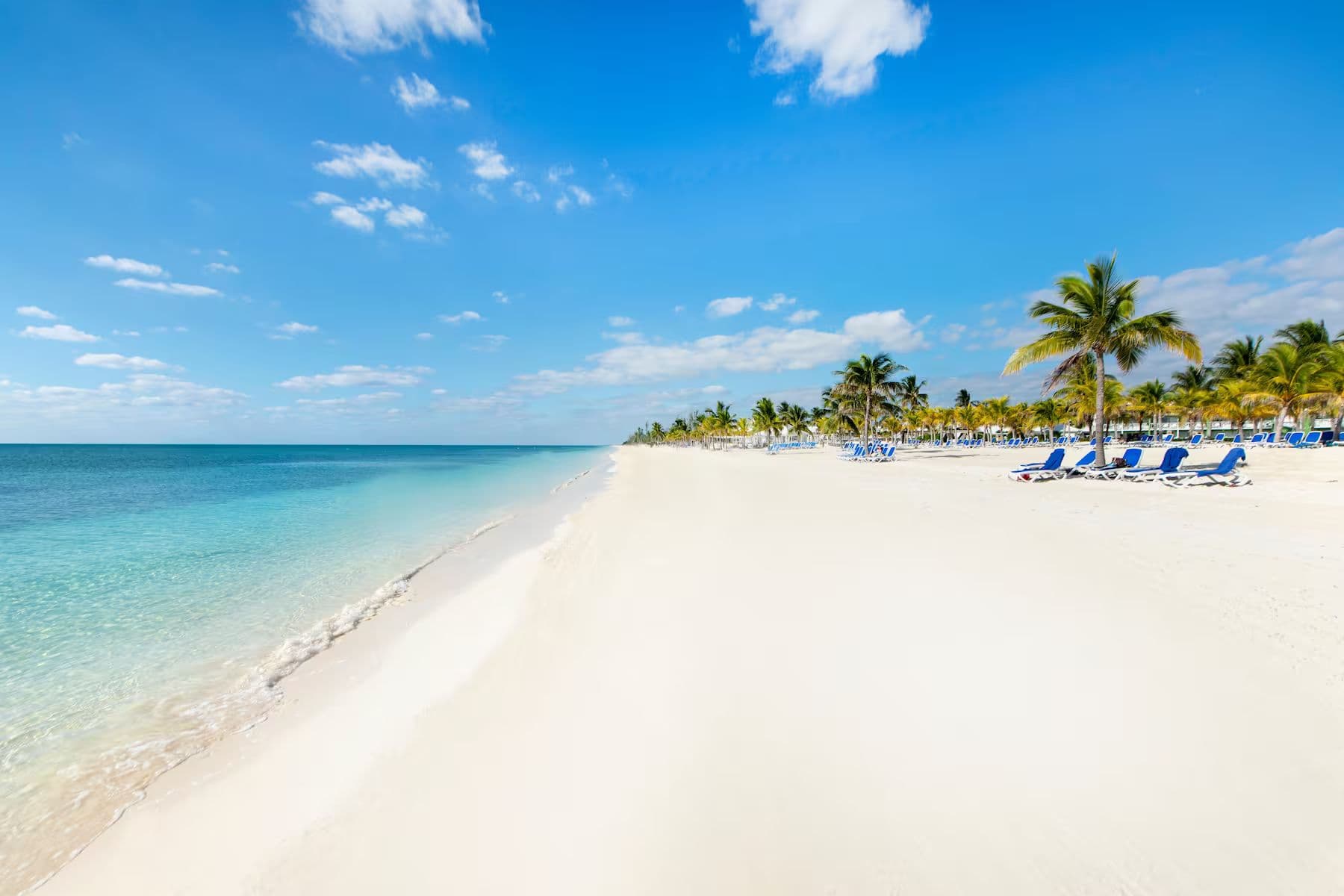 beach view with events view
