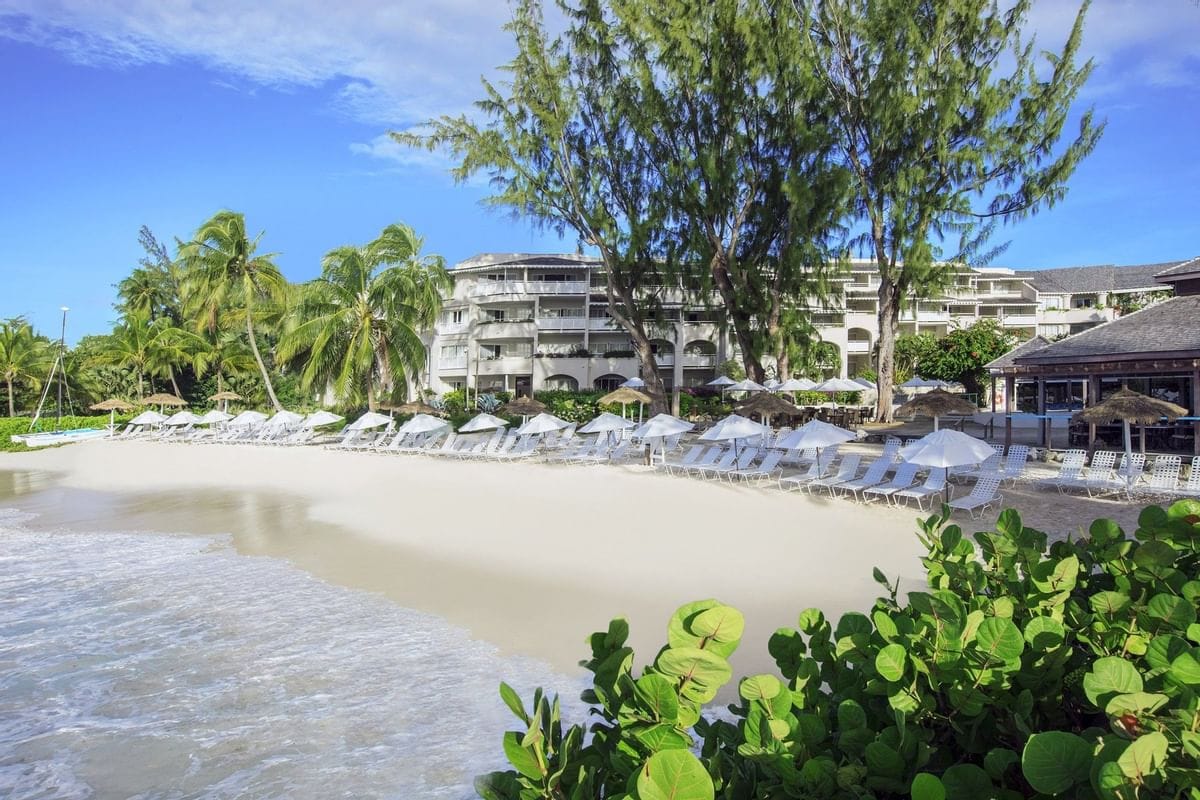 Bougainvillea Barbados Beach