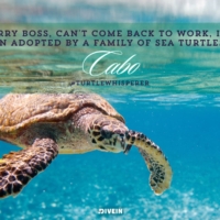 Cabo Quotes & Captions for Instagram
