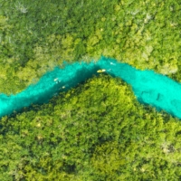 Cenote Manati AKA Casa Cenote