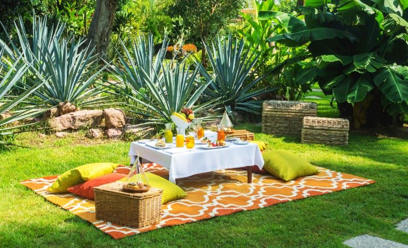 Casa Velas Puerto Vallarta Activities Picnic