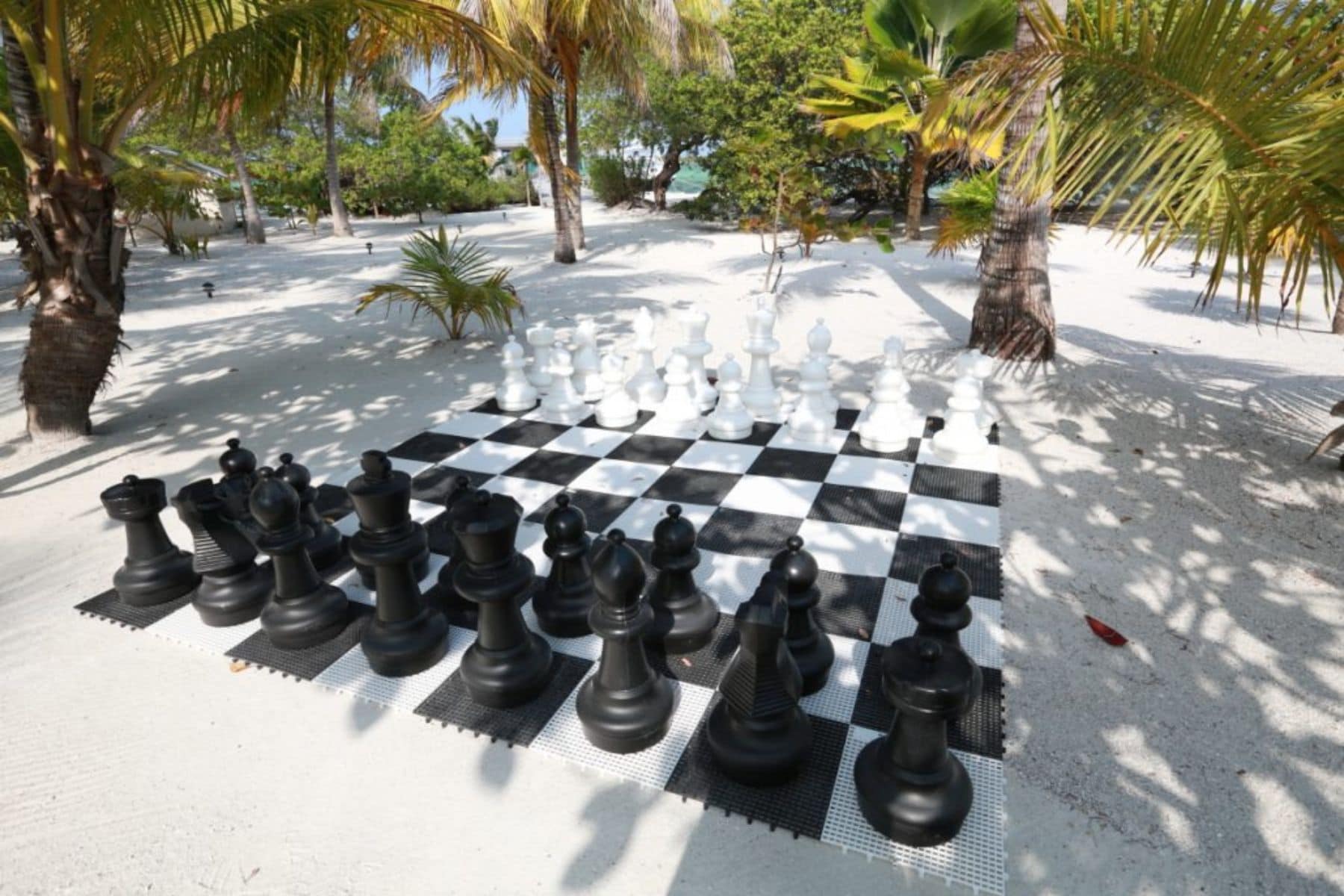 Cayo Espanto Chess