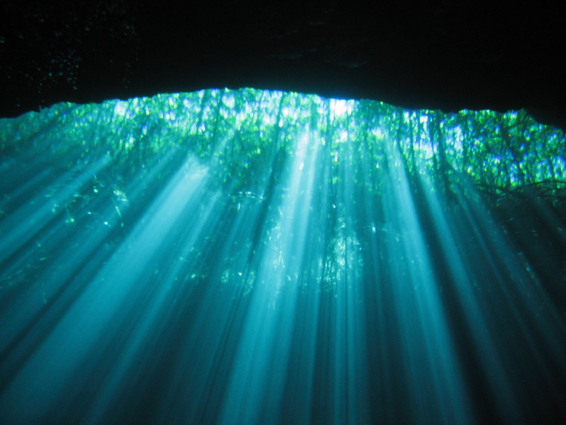 Cenote Ponderosa