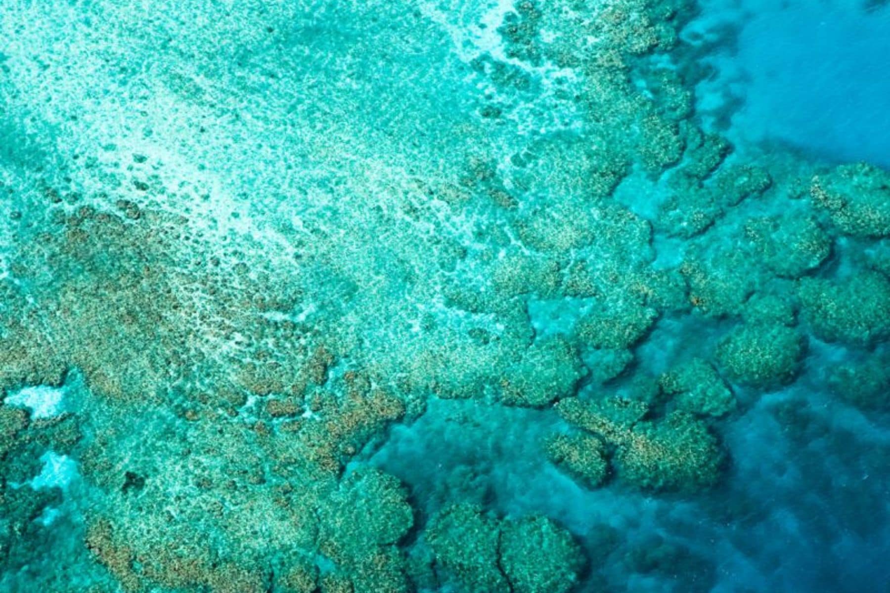 Como Laucala Island Diving