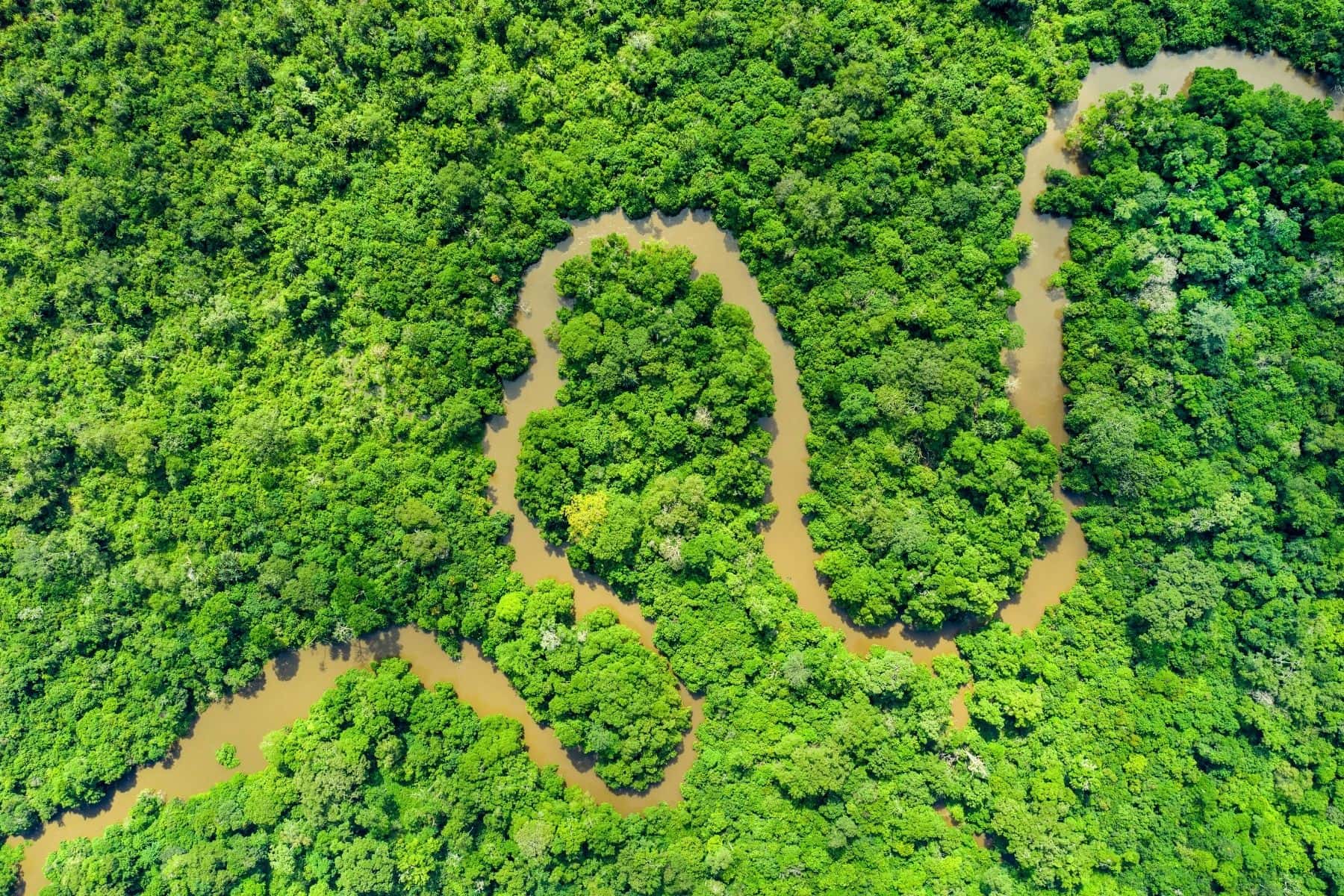 Congo Basin