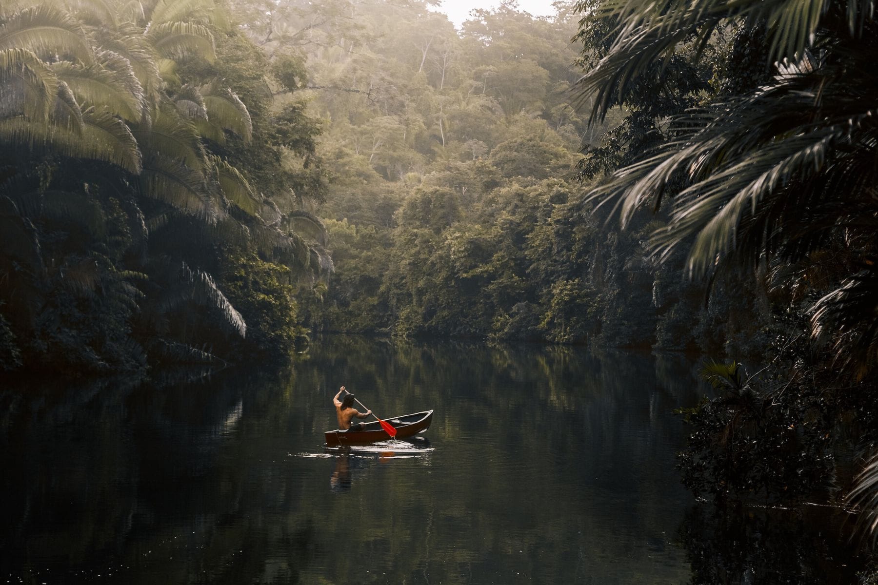 Copal Tree Lodge A Muy Ono Resort Kayak