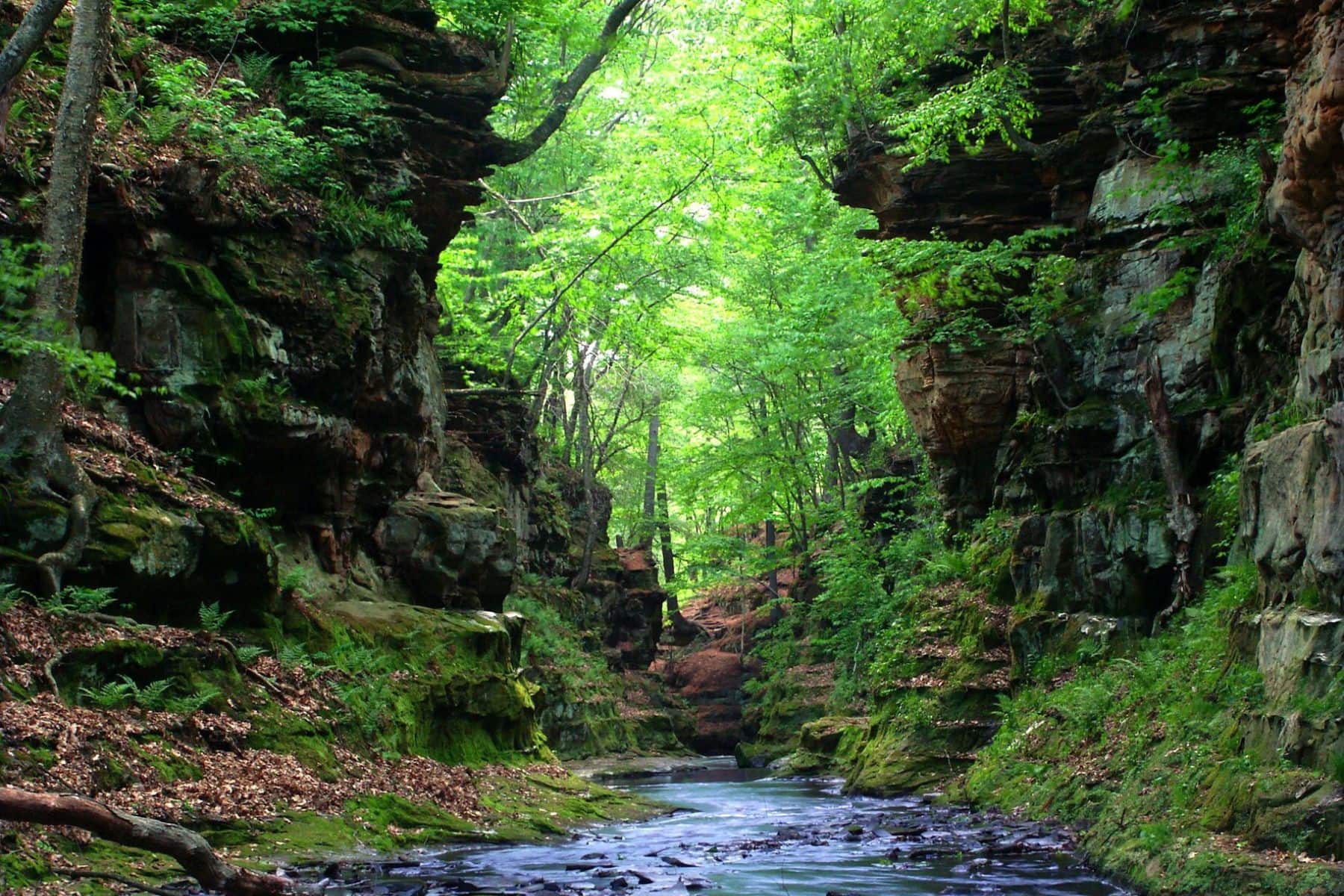 delton-grand-resort-nature