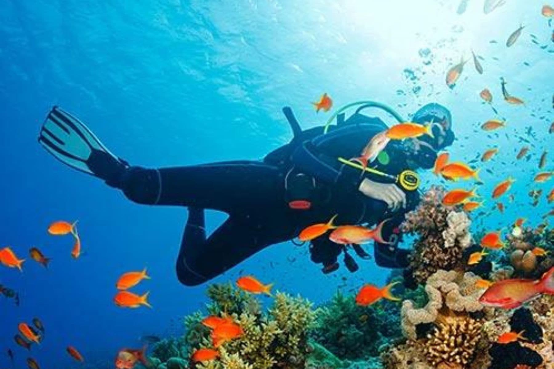 Diving