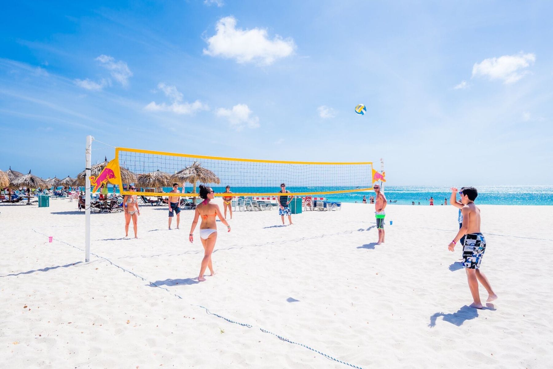 druid-beach-volleyball