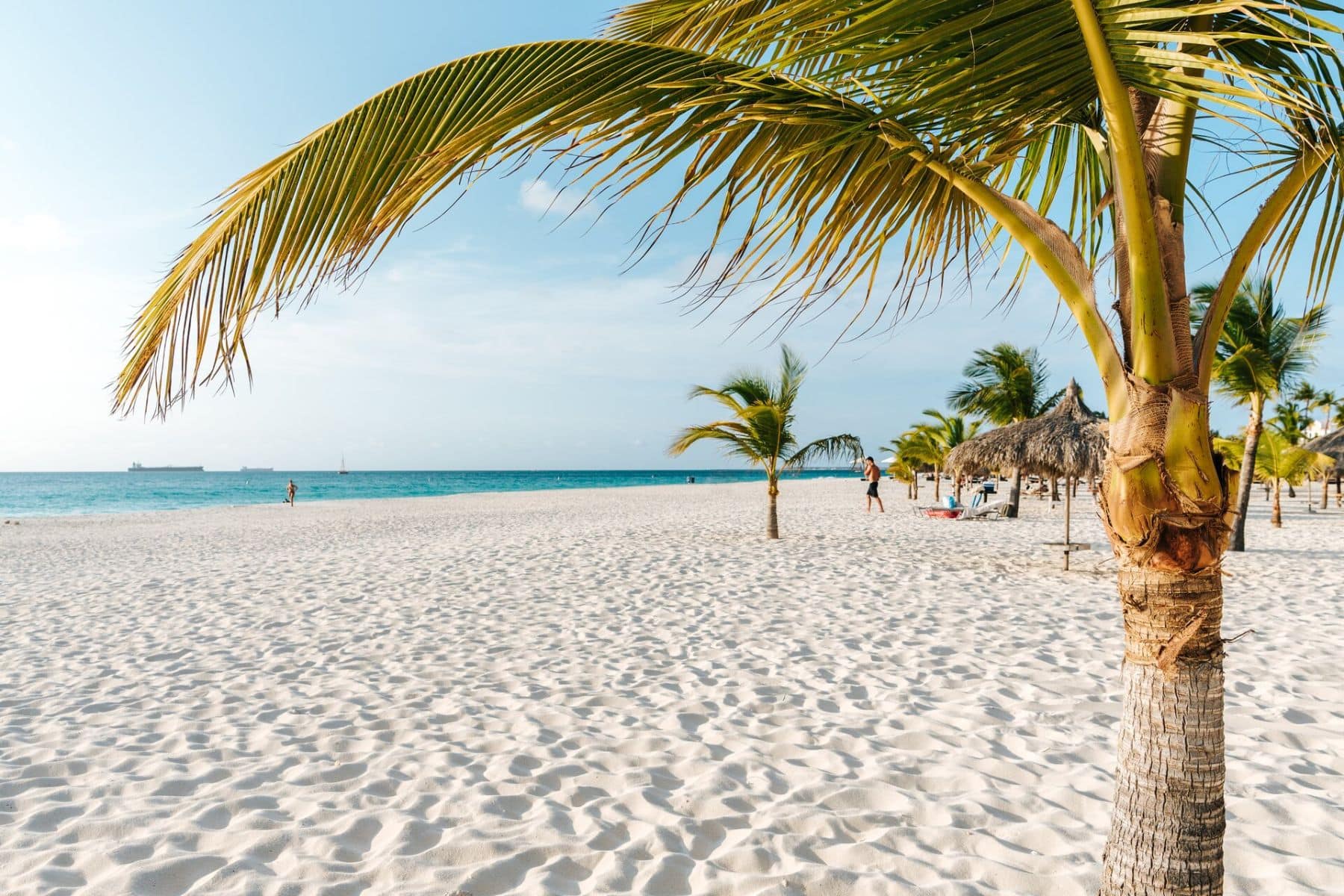 eagle-beach-coconut