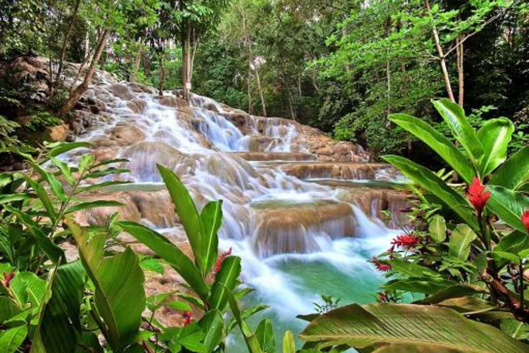 Experience At Jewel Grande Jamaica