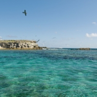 Explore Mayaguana And The South Bahamas