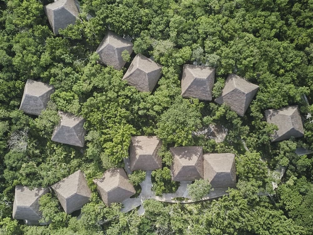 Explorean Cozumel Forest Birds Eye