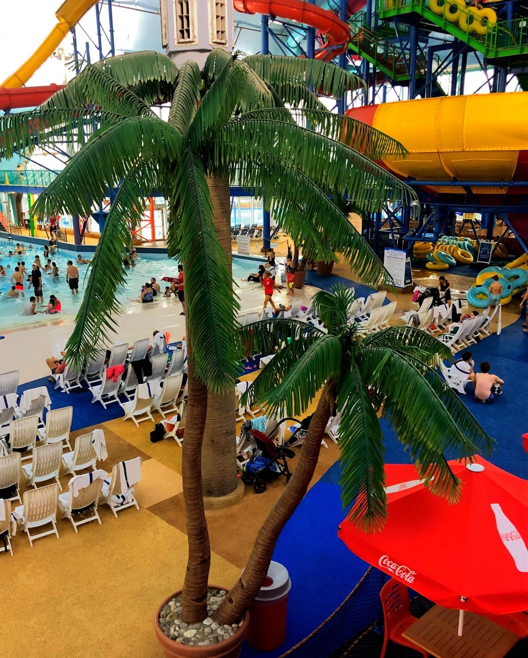 fallsview-indoor-waterpark-tree