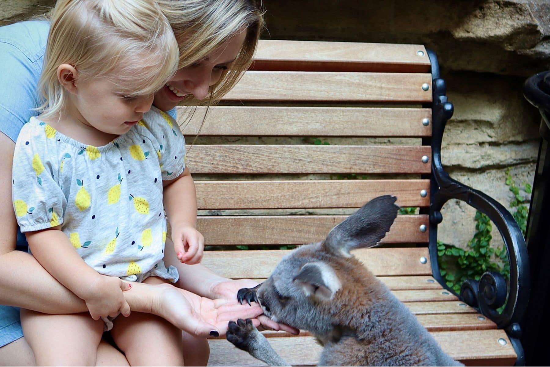 Gaylord Resort Convention Center Animal Contact
