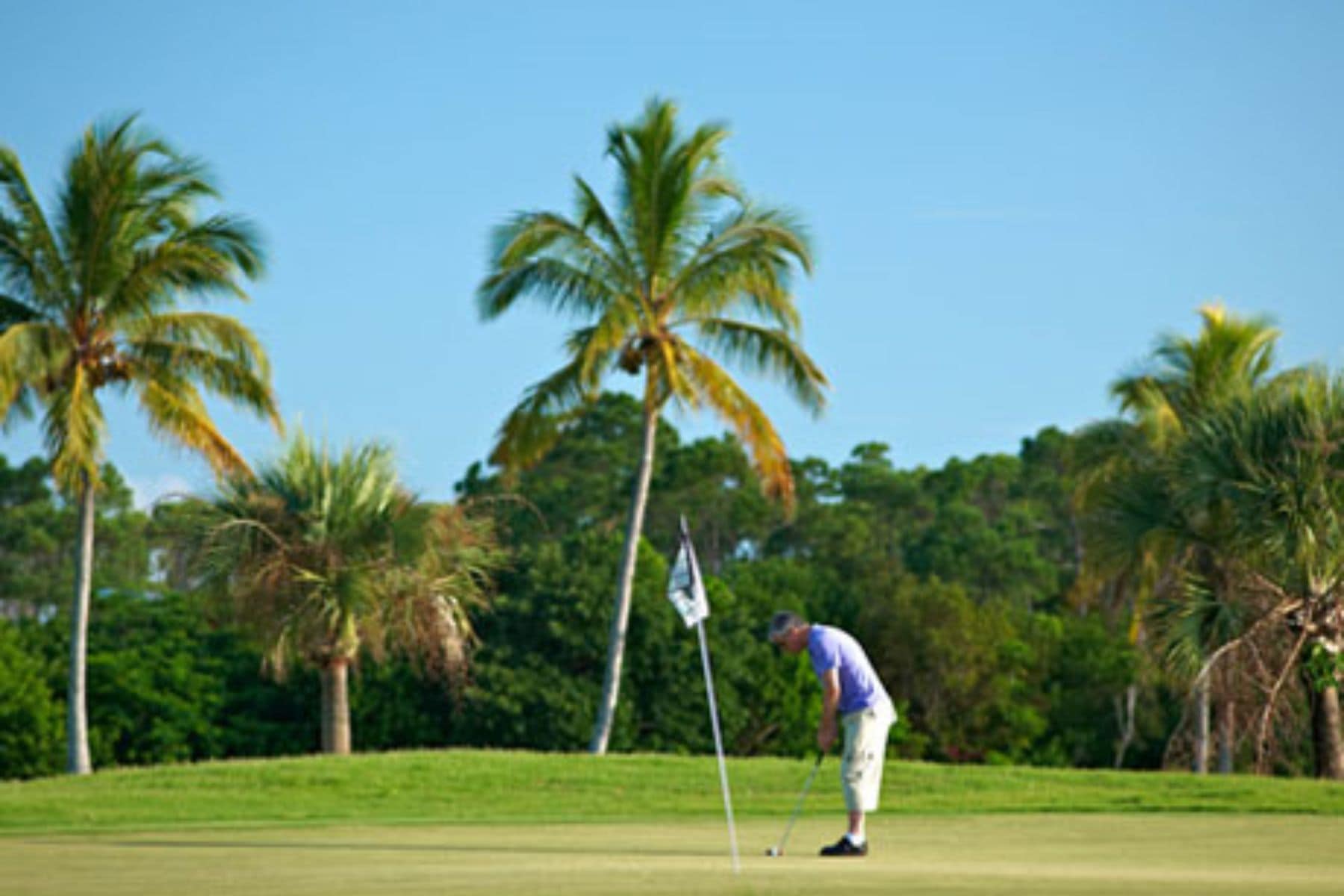 Golf Course