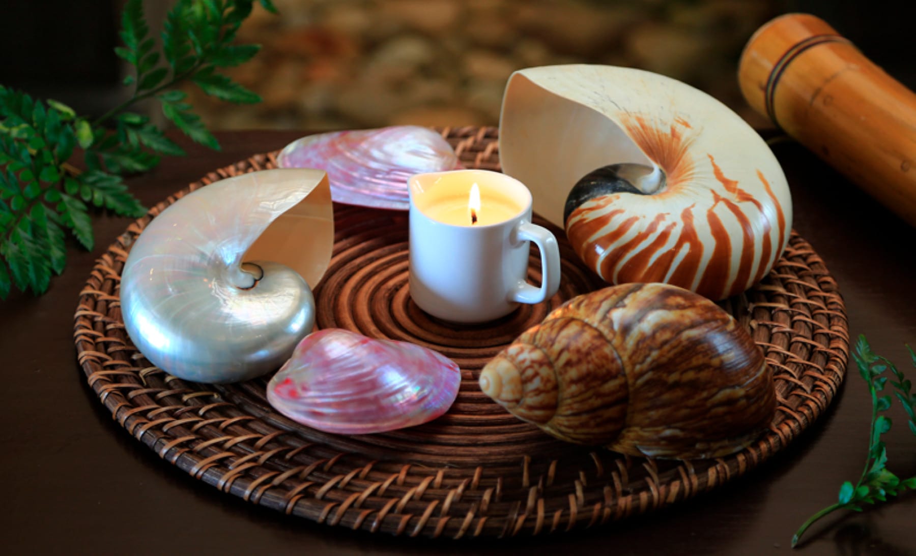 Grand Velas Riviera Nayarit Se Spa Sea Shells