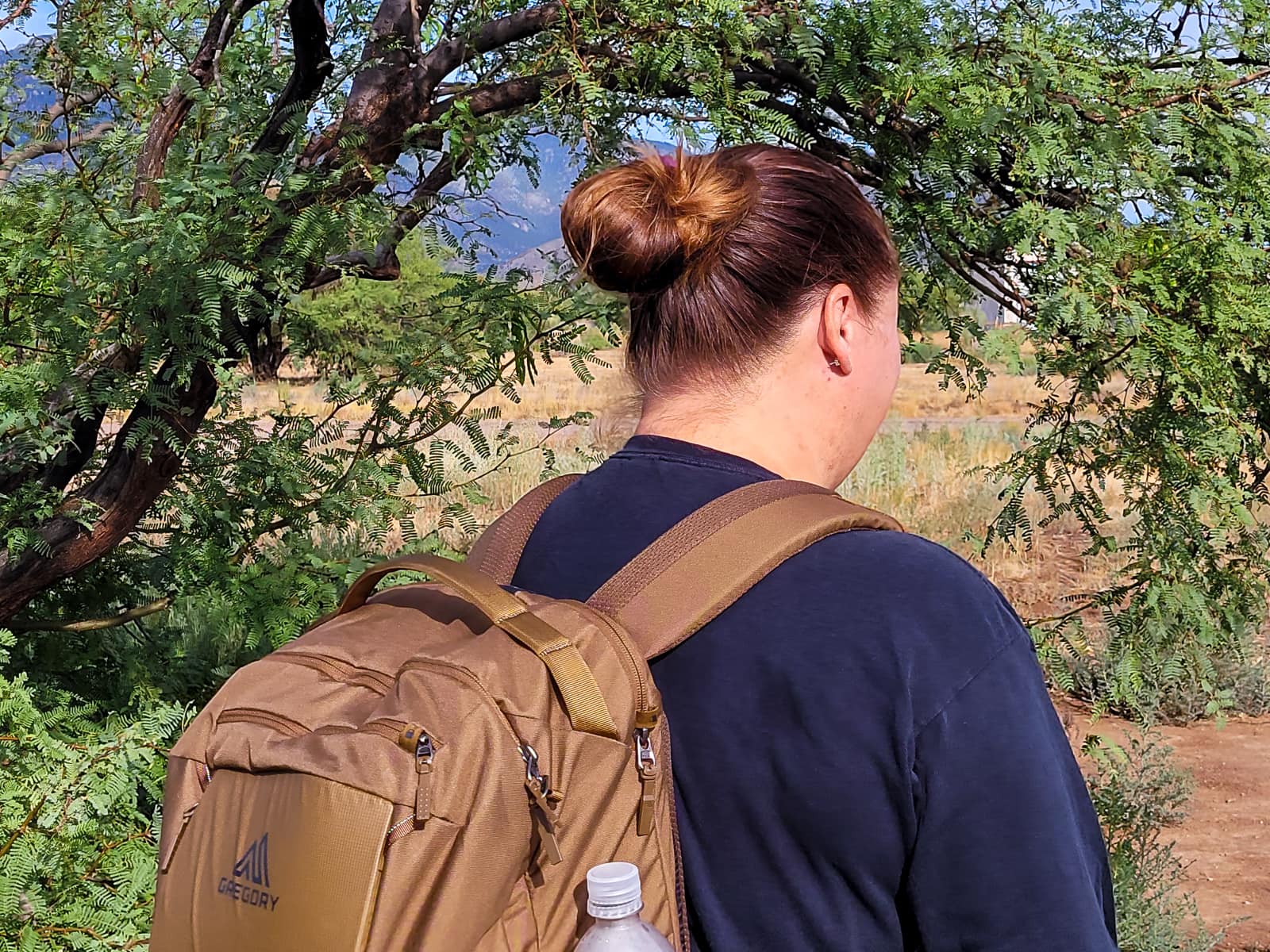gregory-border-traveler-30-comfortable-shoulder-straps