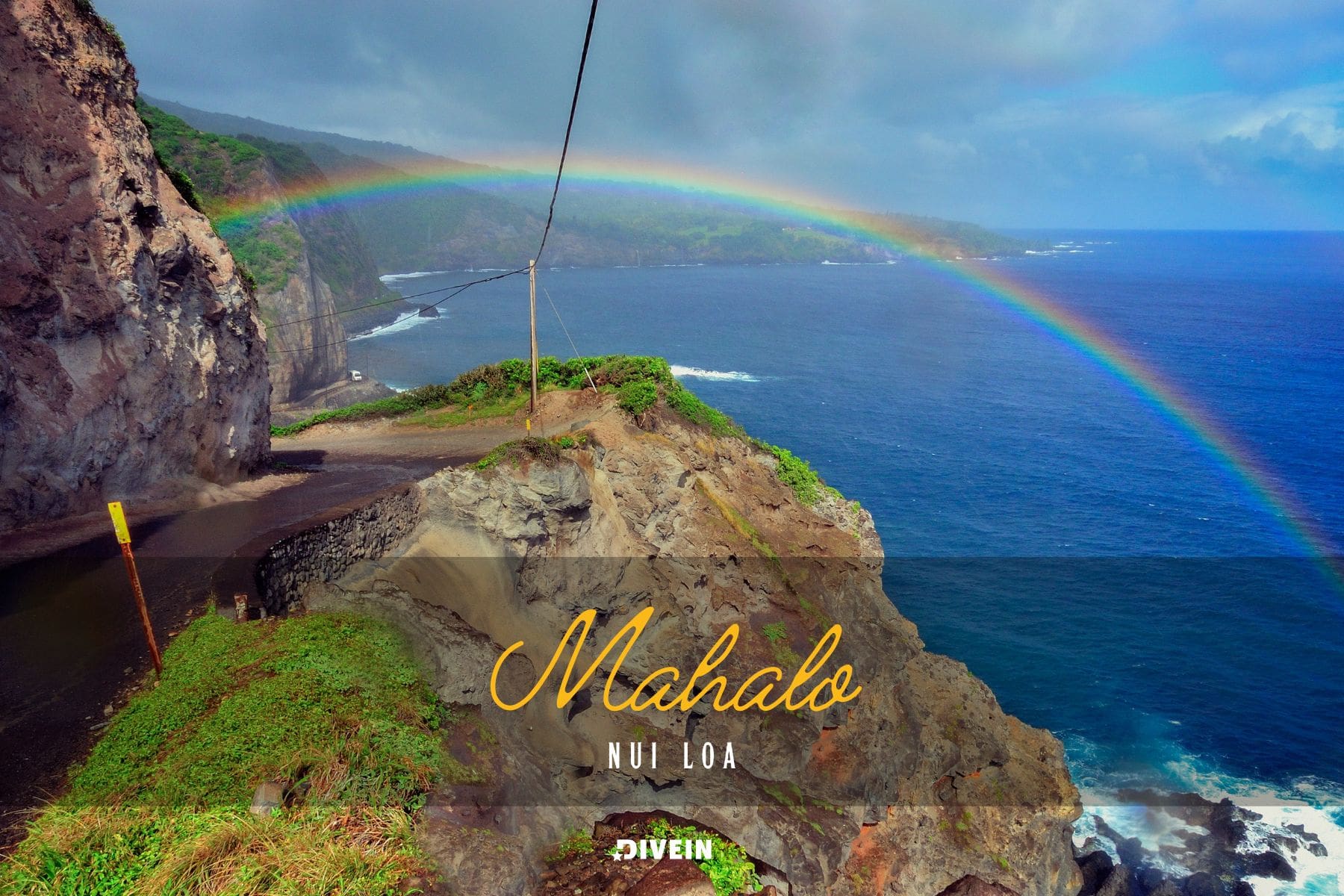 Hawaii Quotes And Captions For Instagram Sayings