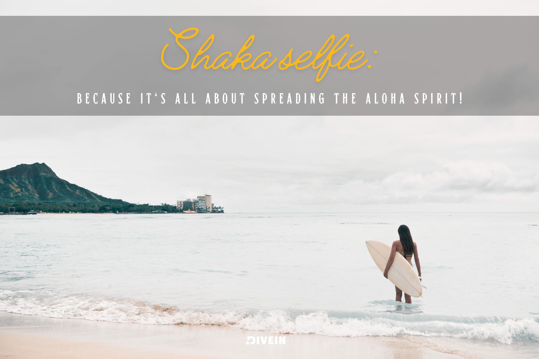 Hawaii Quotes And Captions For Instagram Shaka