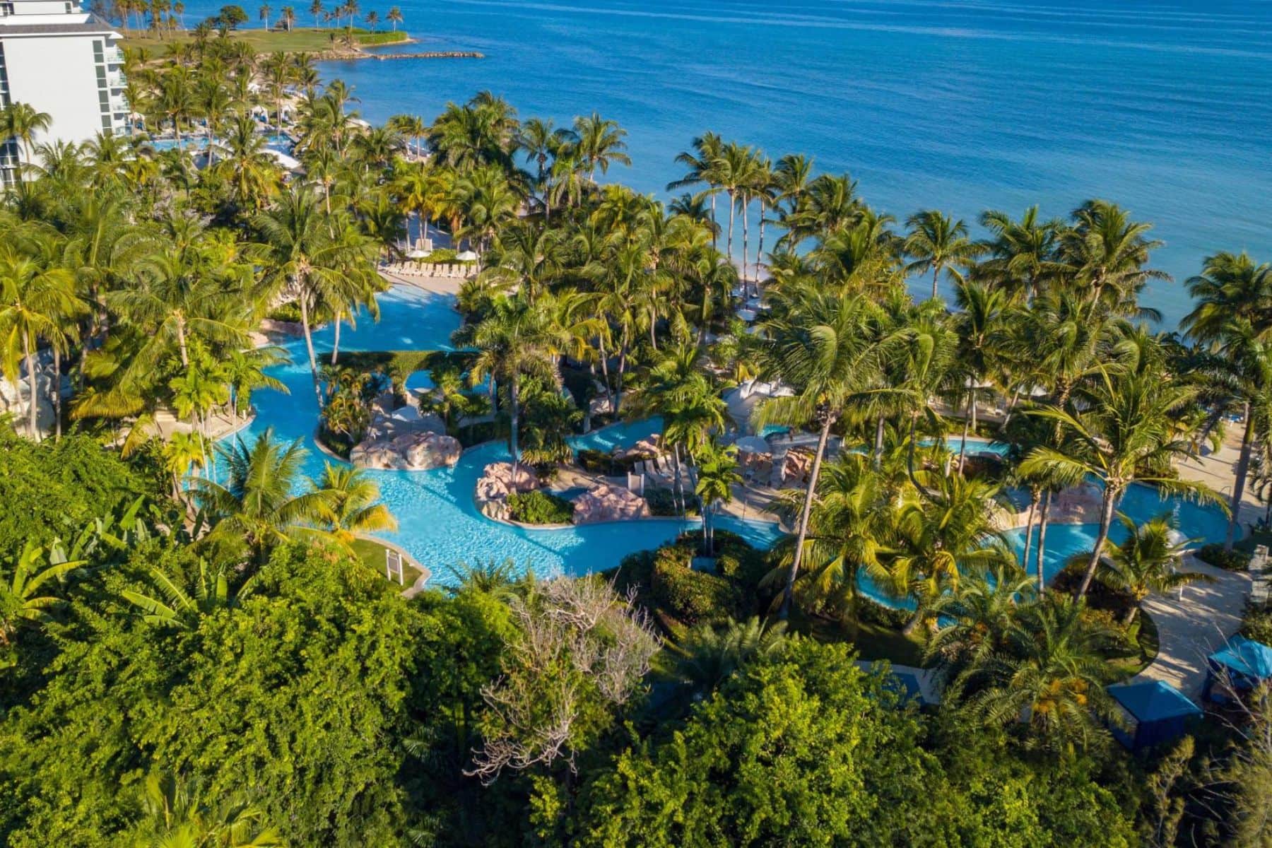 hilton-rose-hall-jamaica-trees