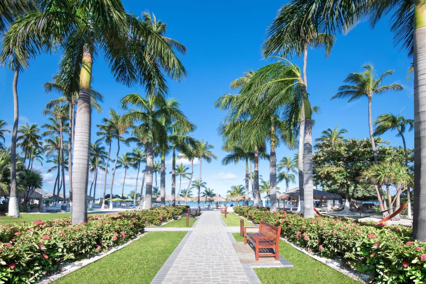 holiday-inn-resort-aruba-walk