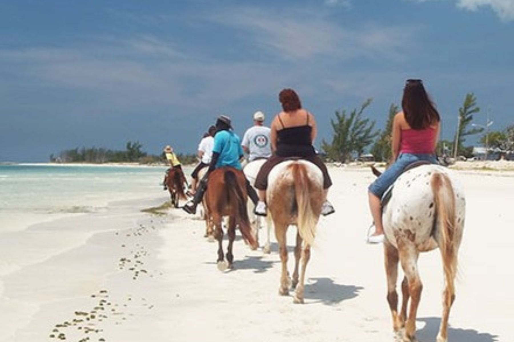 Horse Back Riding