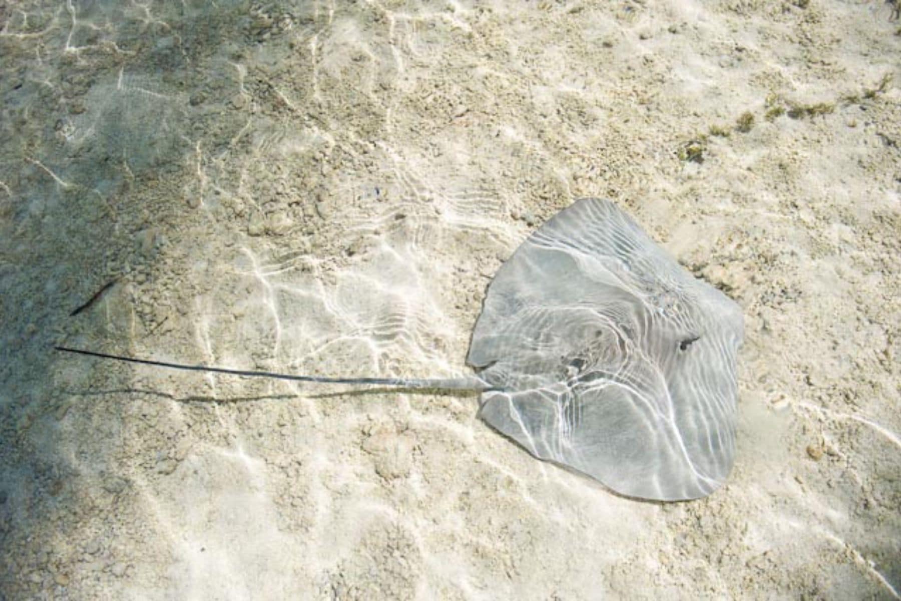 Hotel Maitai Bora Environment