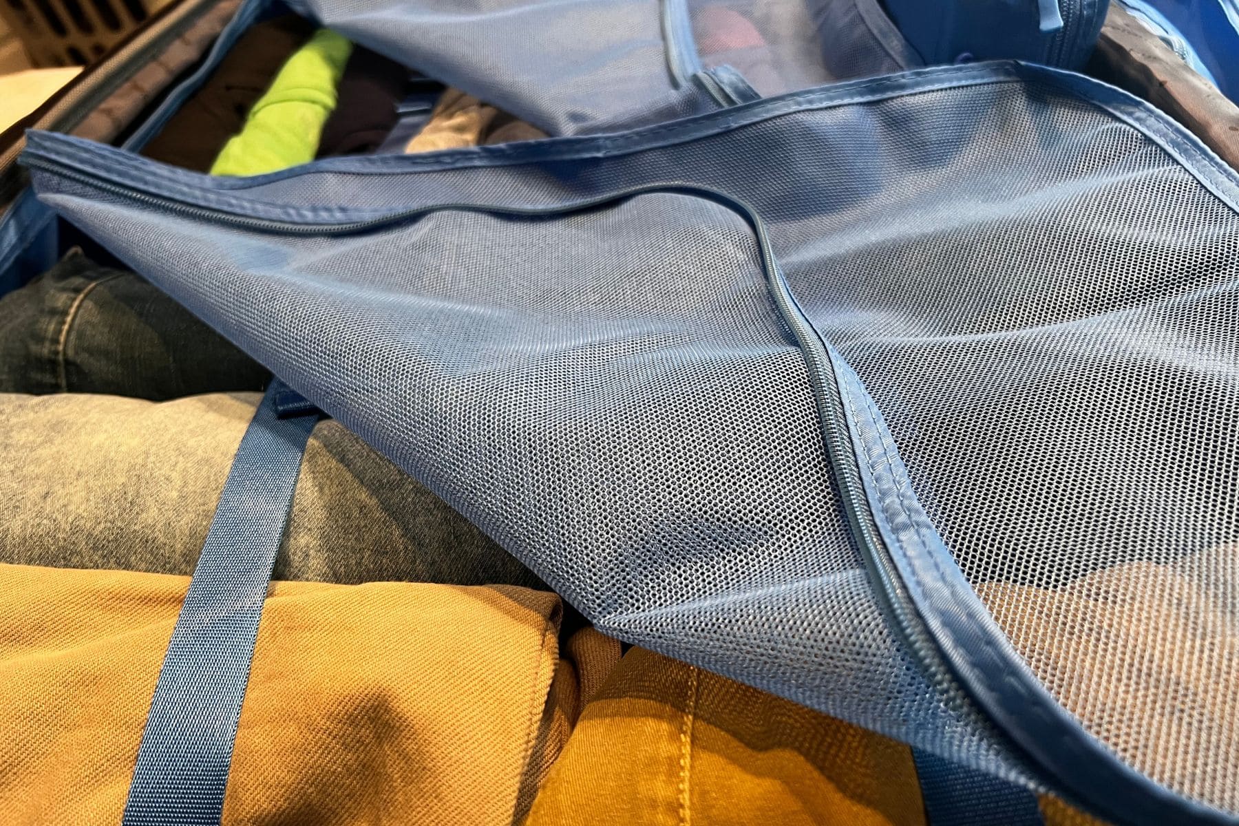 inside view with clip and mesh