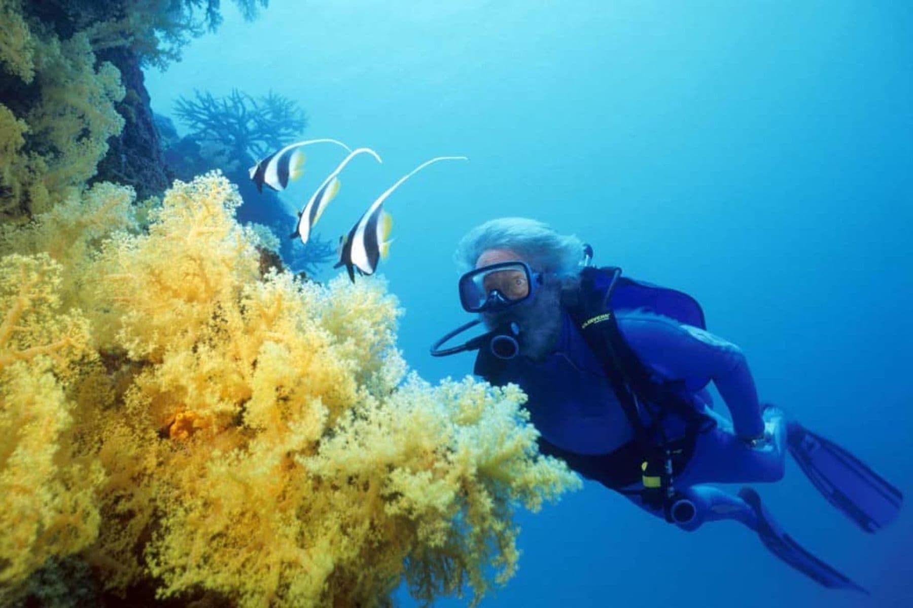 Jean Michel Cousteau Resort Dive