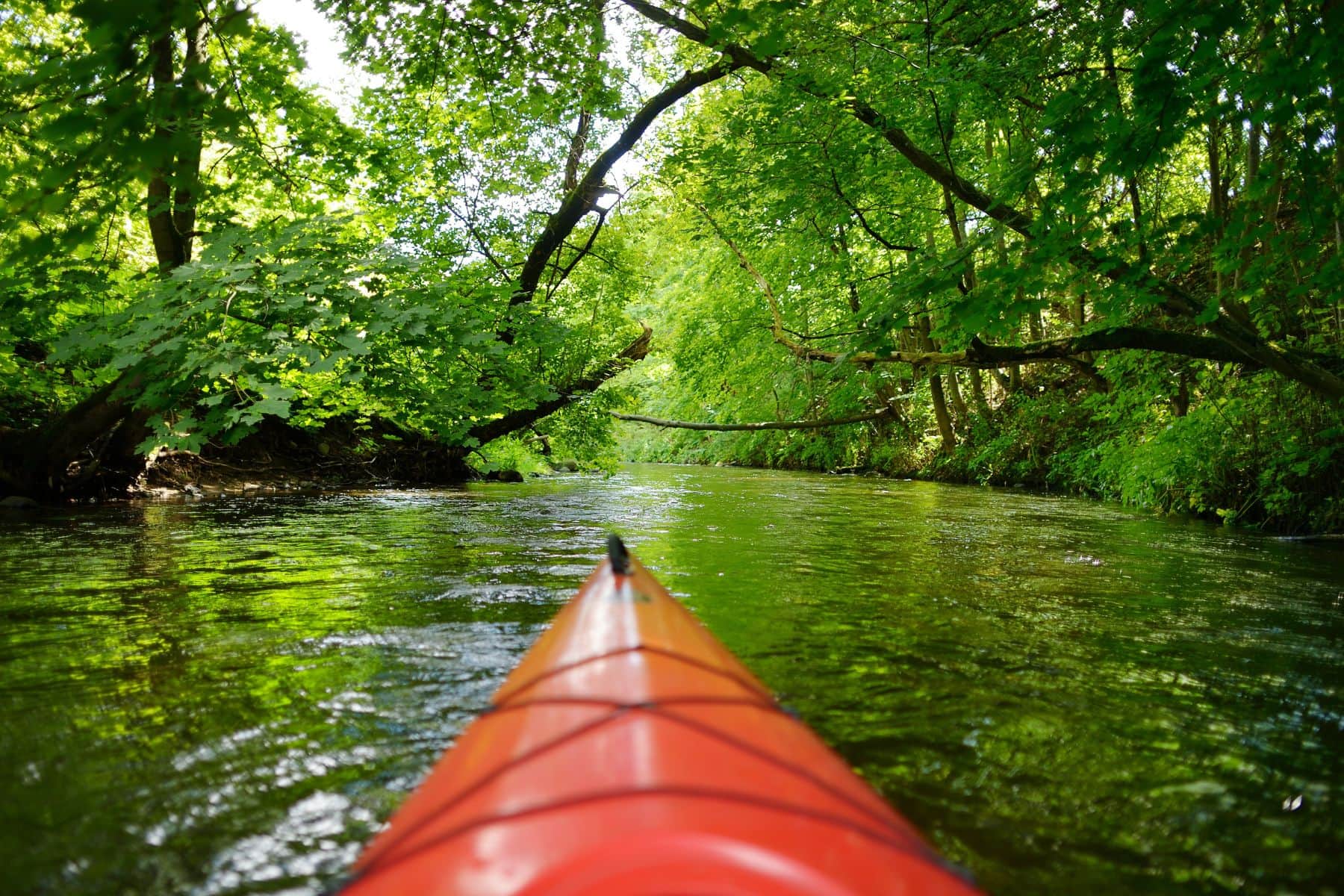 Kings Landing Paddling