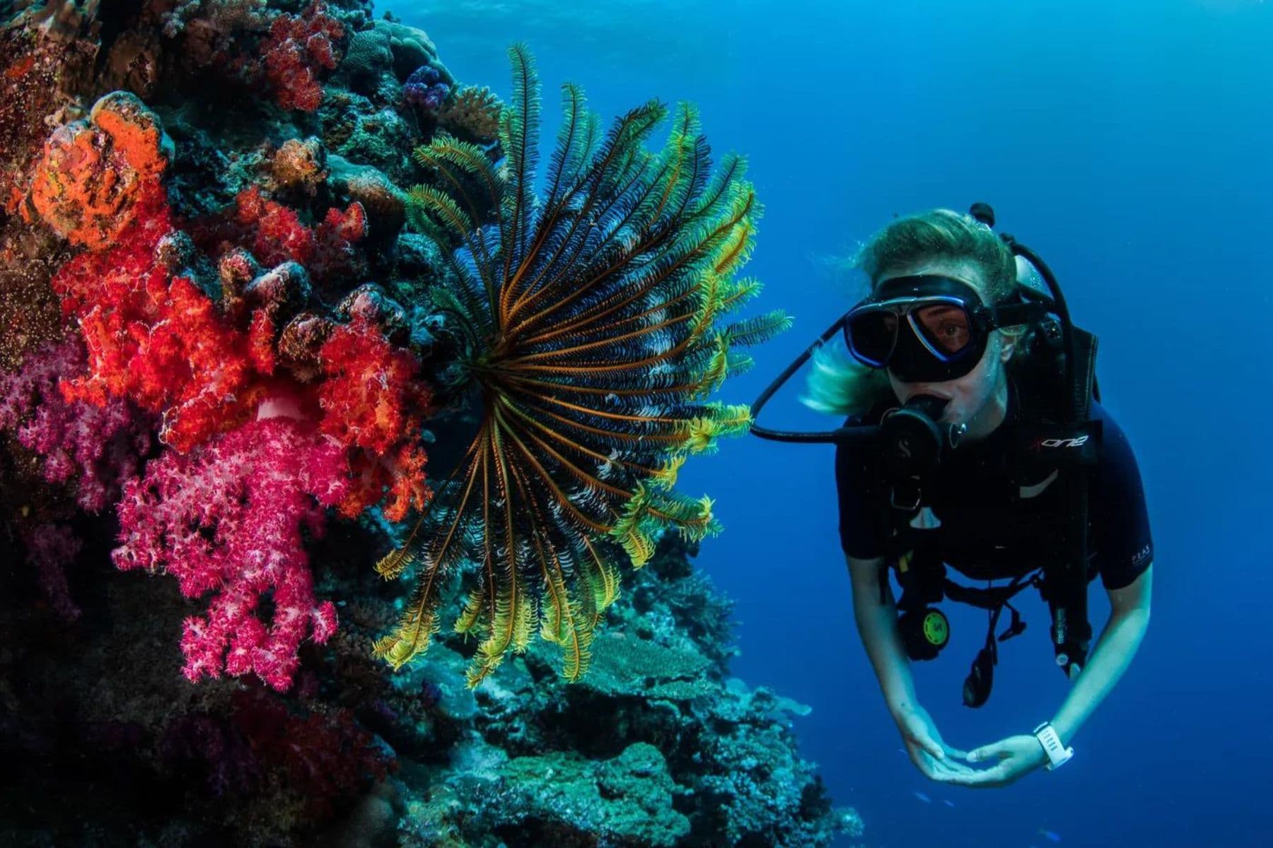 kokomo-private-island-resort-diving