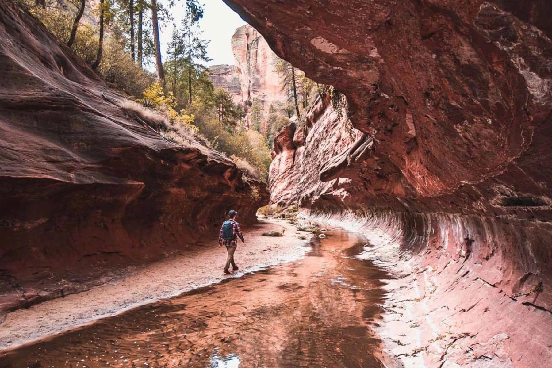 Las Posadas Of Sedona Rocks