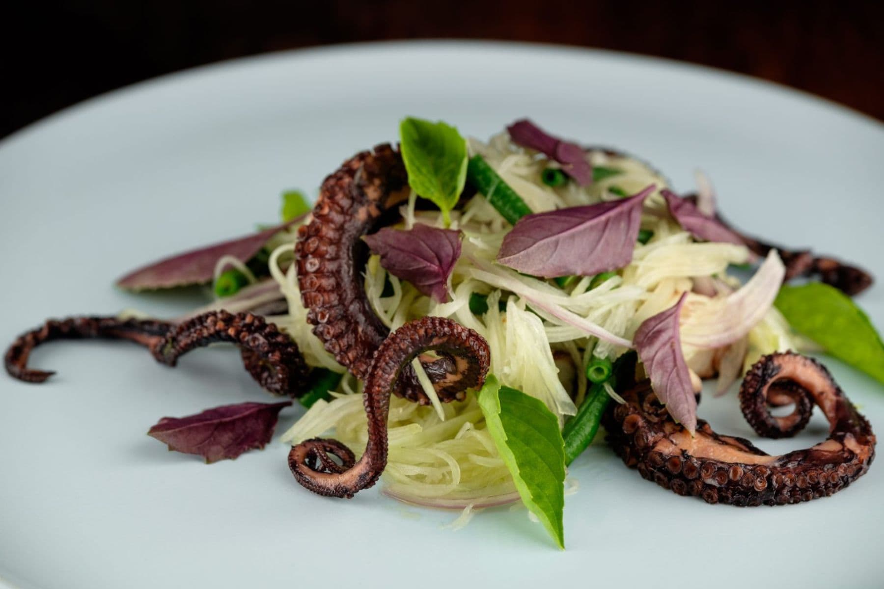 likuliku-lagoon-resort-octopus